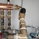 구일우성(아) 이미지