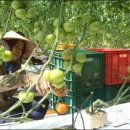 보성군쓰레기소각장 이미지