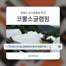 가평 감성 글램핑 추천! 코뿔소글램핑 토끼방 리얼후기 (+부대시설 총정리)