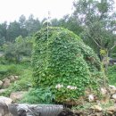 관음2리 이미지