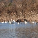 일출물빛 이미지