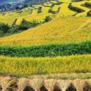 고삼경로당 이미지