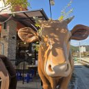 예천한우 이미지