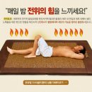 신진전위