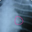 영동동물병원 이미지