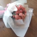 사파동151 이미지