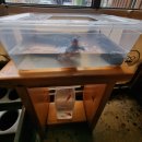 라멘집입니다 호계점 이미지