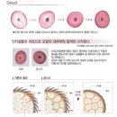 뽁헤어 네이버블로그