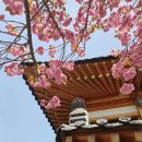 신한리 | 경상북도 영천시 송림한옥마을, 후기, 리뷰, 가는법