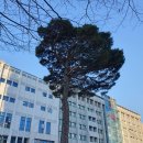 울산광역시청 1별관 이미지