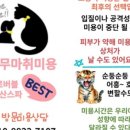 고양이 세수_설렘 이미지