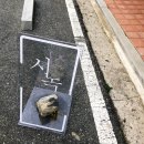 사림동111 이미지