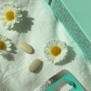 쁘띠앤독 이미지