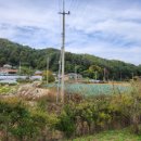 전하울스테이 이미지