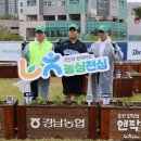 개성농장 MK스포츠