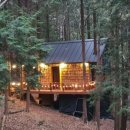 상관편백숲 쉼터 이미지