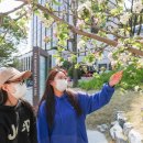 동아대학교 승학캠퍼스 이미지