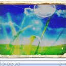 써니데이즈 이미지