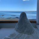 로비나발리 플러스 오션뷰 이미지