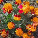 기우농장 이미지