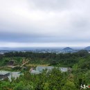 감귤박물관 이미지