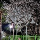 도원고등학교앞 이미지