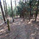 신북초등학교 이미지