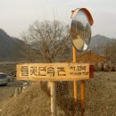 느티나무민박2 이미지