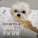 온날 | 입 짧은 강아지도 순삭? 온날 무뼈 닭발 급여 후기 (내돈내산)