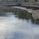 선소바다 이미지