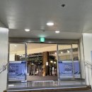 대방농원 | 18개월아기랑 평창휘닉스파크 내돈내산 후기 !