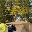 서울근교 가평 추천 캠핑장 &#34;밤벌캠핑장&#34; 서울에서 가까운 가족 추천 캠핑장