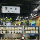 시흥 배곧 맛집 정왕동 살살녹소 점심 후기