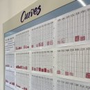 커브스영통클럽 | 🎉10월, 커브스영통클럽과 함께 건강한 출발!🎉[영통역 여성전용헬스장/커브스영통]