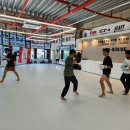 코리안탑팀 김포 킥복싱 이미지