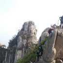 꽃다락 - 서산시 중앙로 102 | 꽃다락
