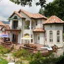 숲속개울가 이미지