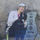 파텔라 이미지