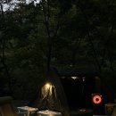 함양남서로 | 함양 캠핑장 추천 – 숲속애캠핑장 실제 방문 후기 (반려견 동반 가능) 🌿