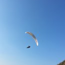 국당 Daum카페