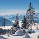 장승포항(지심도 도선) | 거제도 지심도 동백꽃 피는 시기