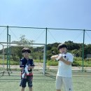 용인대 대동 태권도 이미지