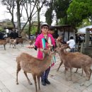 수아사슴농장 이미지