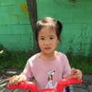 파랑새세차장 이미지