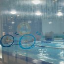 키즈 스플래쉬 | 판교 키즈스플래쉬 1년 2개월 수업 후기