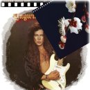 Rising Force -- Yngwie Malmsteen 이미지