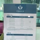 인덕원 승마스쿨 체험후기 및 안전수칙(아더와 함께)