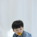 세이치즈데이