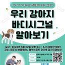 감자국댕치원 이미지