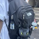 사보아몰